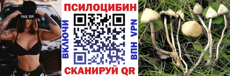 Галлюциногенные грибы Cubensis Елизаветинская