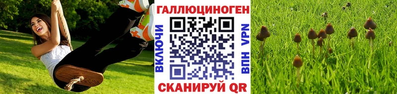 Галлюциногенные грибы Cubensis Елизаветинская